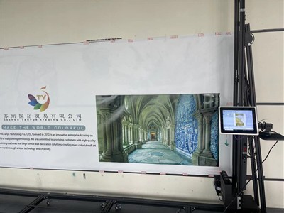 What Is The Difference Between Wall Painting Machine And Hand Painting?