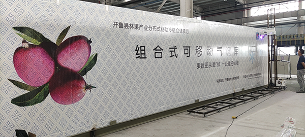 wall printer (5)